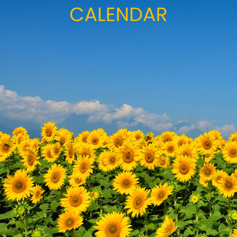 Pre-ETS August 2026 Calendar featured photo with those words in yellow. The picture has a blue sky with sunflowers at the bottom.